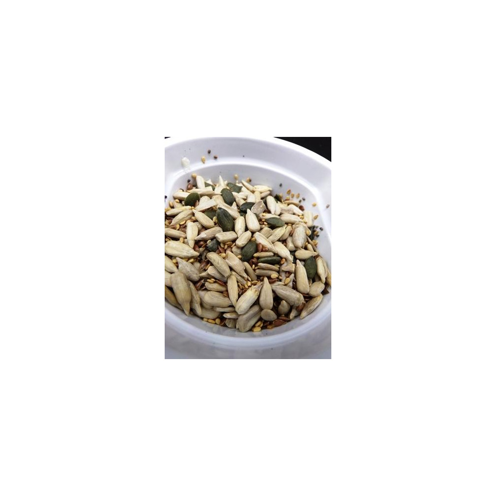 MIX DE SEMILLAS B. 500G